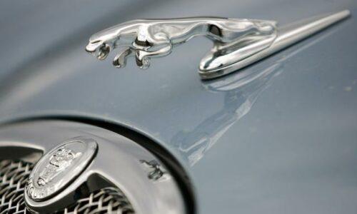Jaguar 5 godina garancije