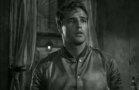 Brando