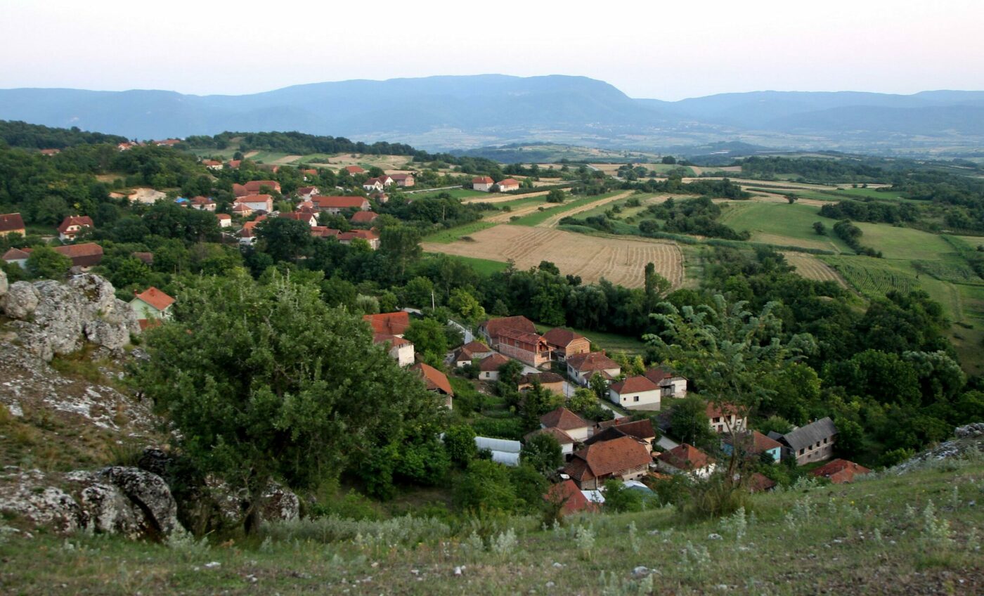 Ministar: Do kraja 2025. brzi internet za 99 odsto srpskih sela
