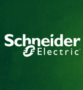 Schneider Electric Serbia Business Run