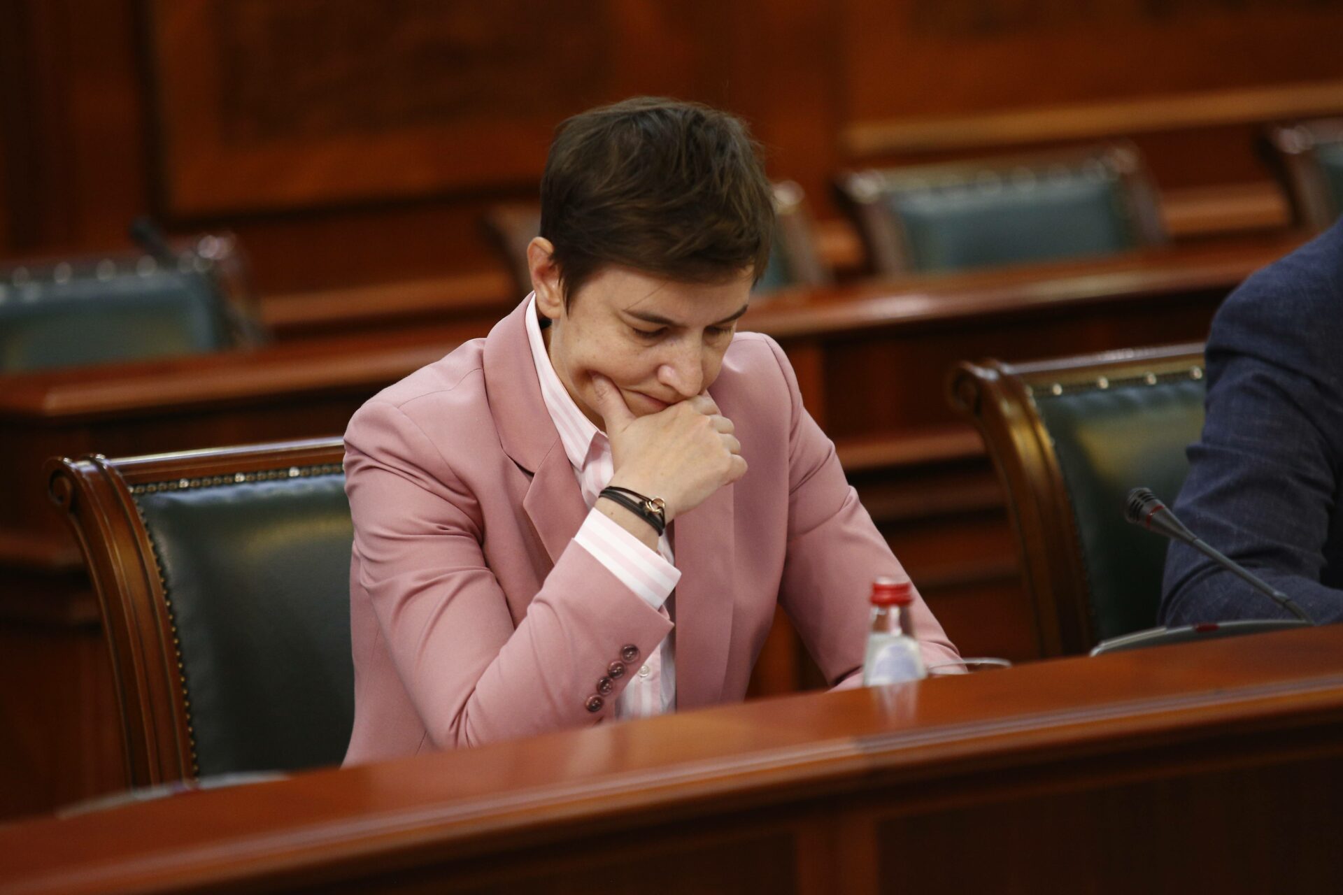 Ana Brnabić, dogovor