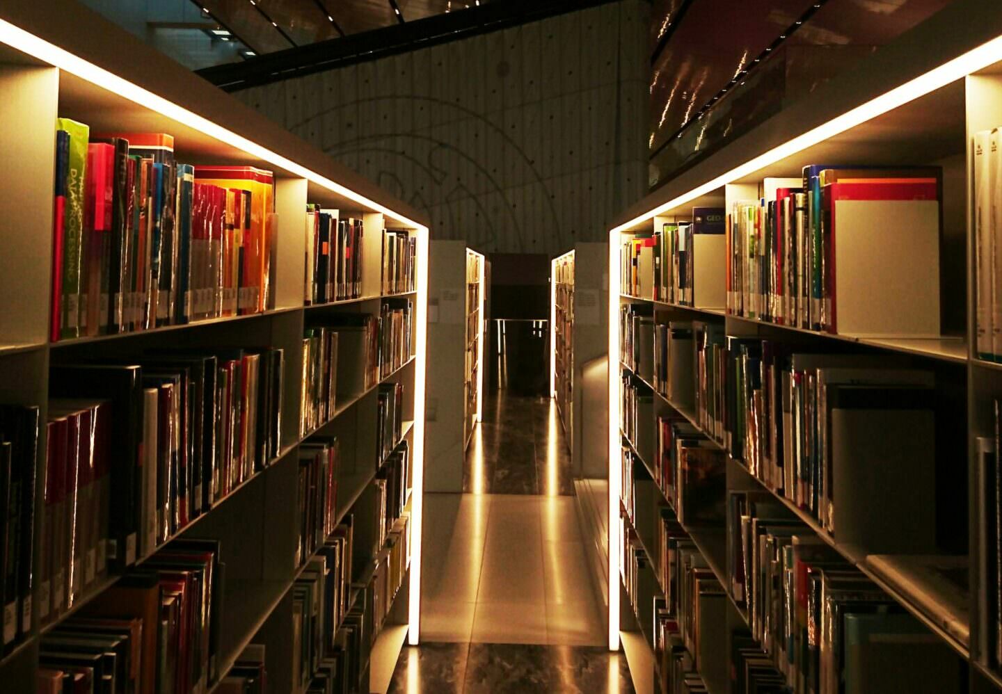 Katar, Biblioteka (Unsplash)
