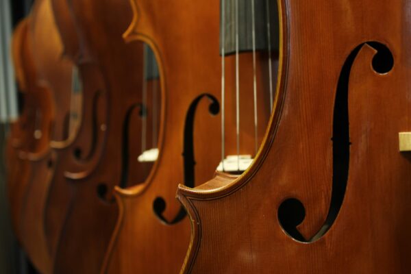 Violine
