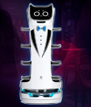 Robot konobar, AI