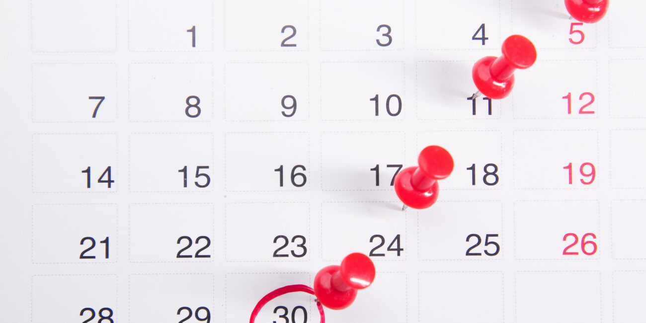 kalendar januar, dupla dnevnica