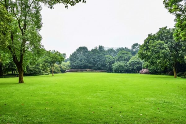 Nacionalni parkovi, park