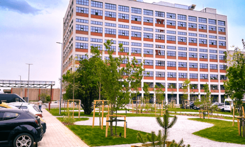 Artklasa