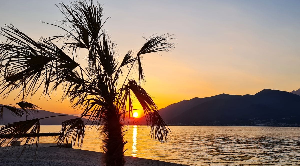 tivat