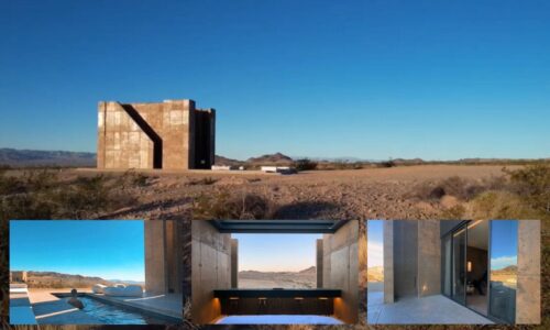 FOLLY MOJAVE