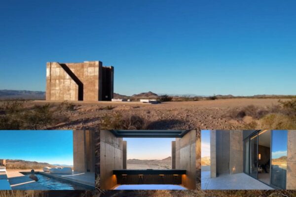 FOLLY MOJAVE