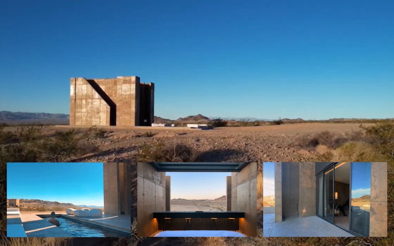 FOLLY MOJAVE