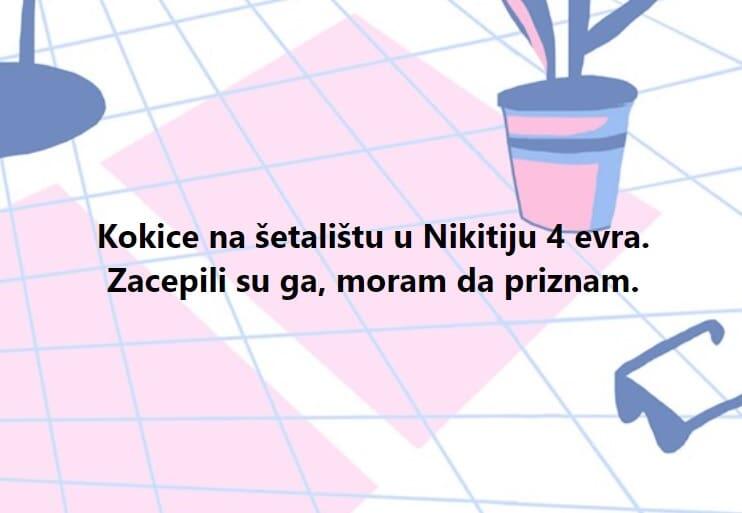 Kokice