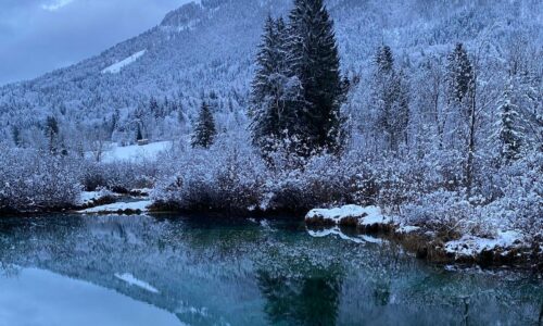Kranjska gora