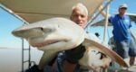 River Monsters