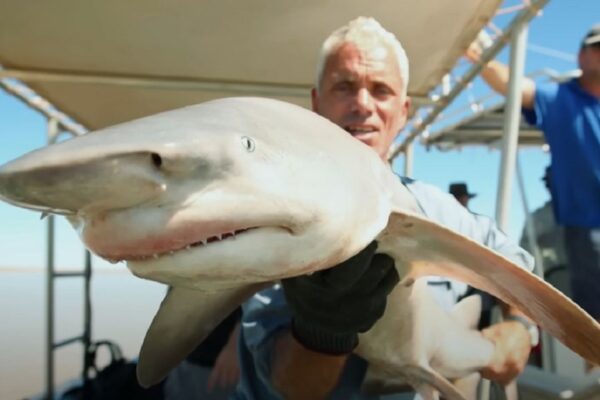 River Monsters