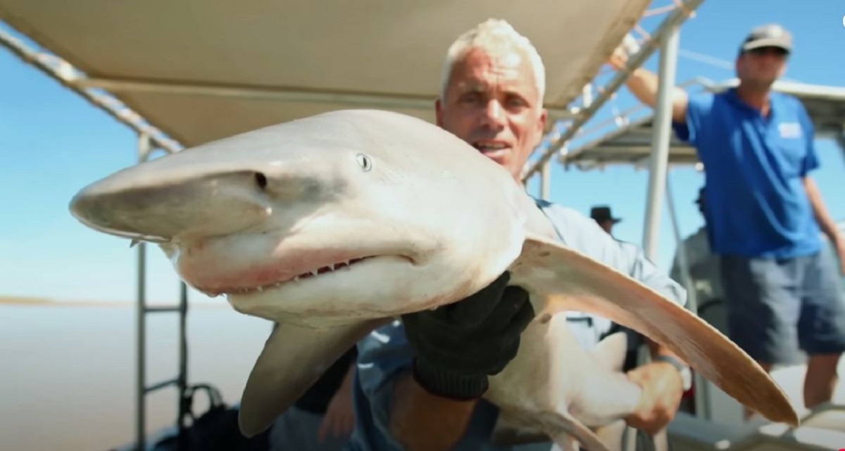 River Monsters