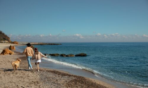 plaža