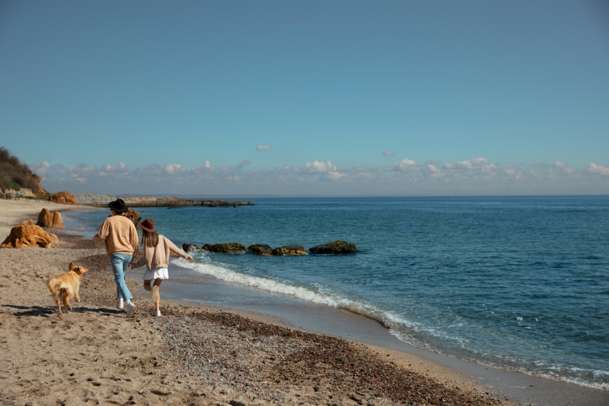 plaža