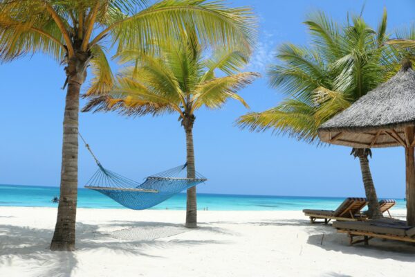 LEtovanje, Zanzibar