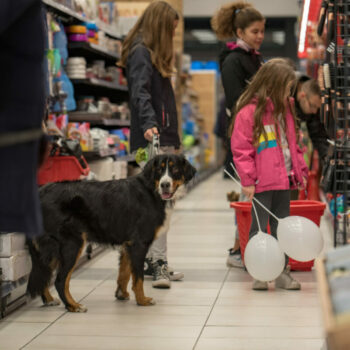 Pet Network International