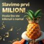 Ananas