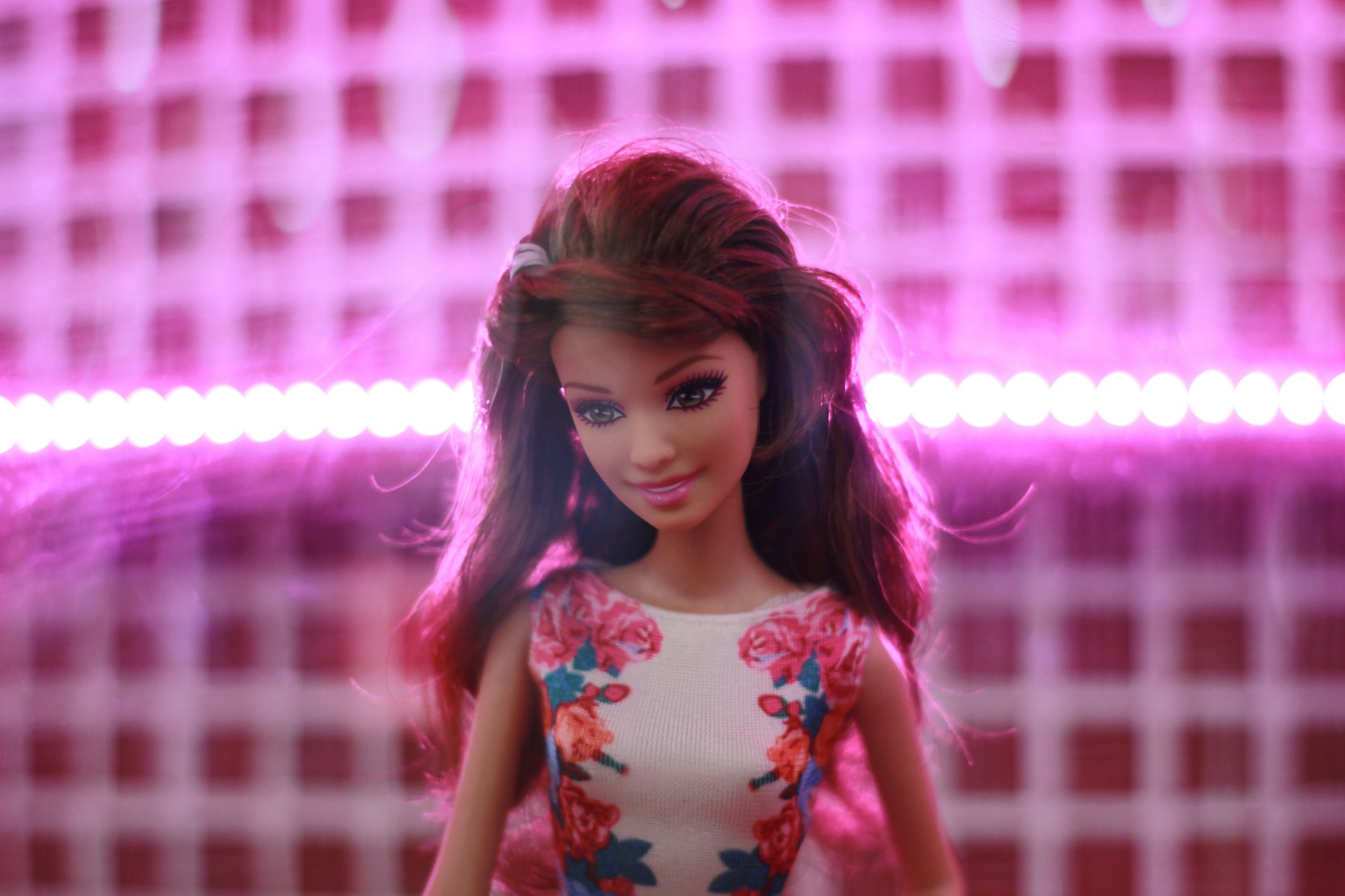Barbi