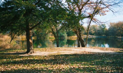 park
