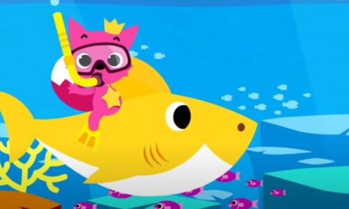 Baby shark