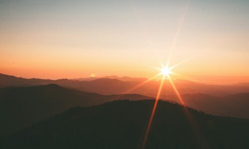 sunce, livada, zalazak sunca