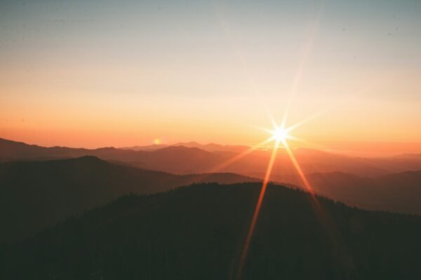 sunce, livada, zalazak sunca