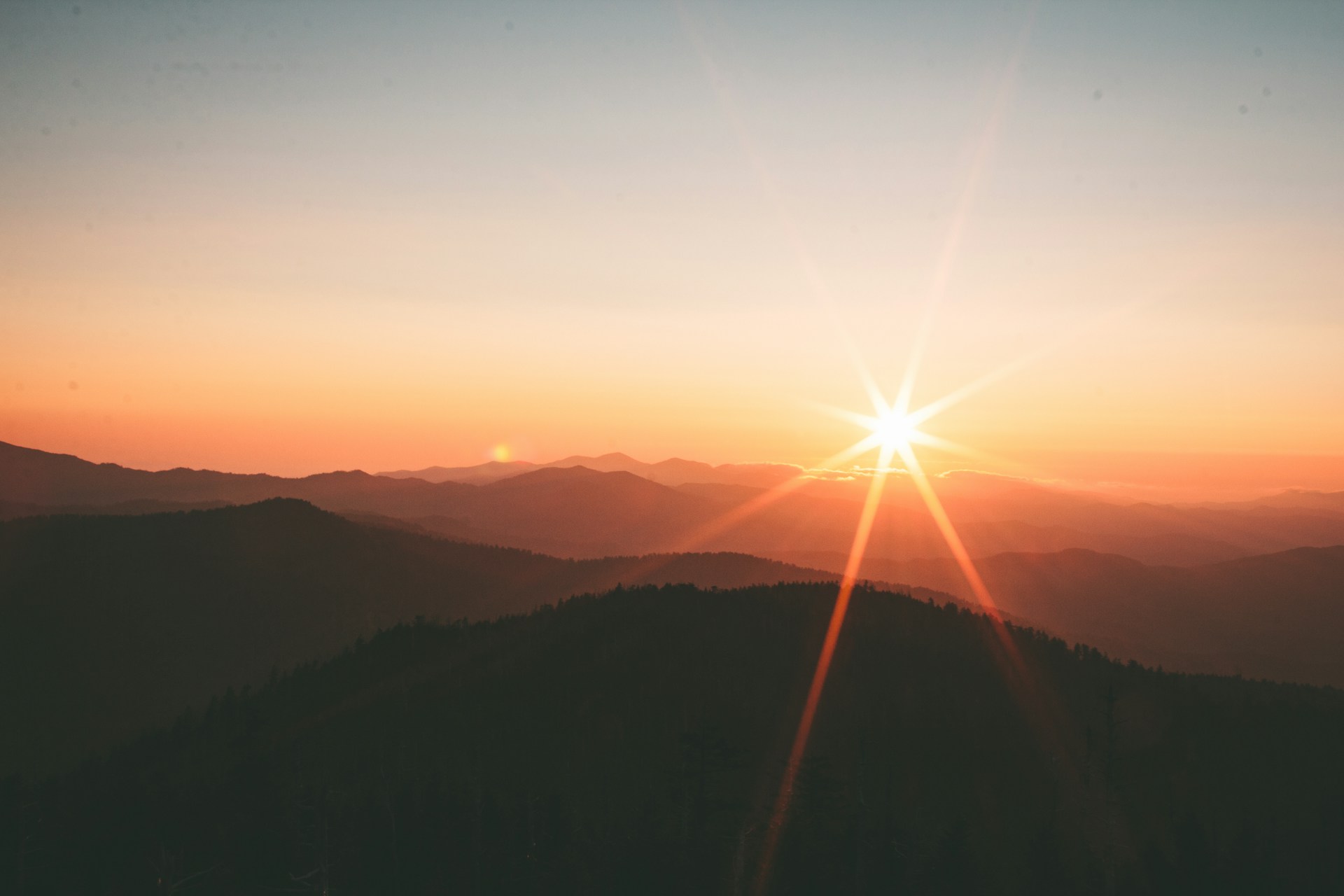 sunce, livada, zalazak sunca