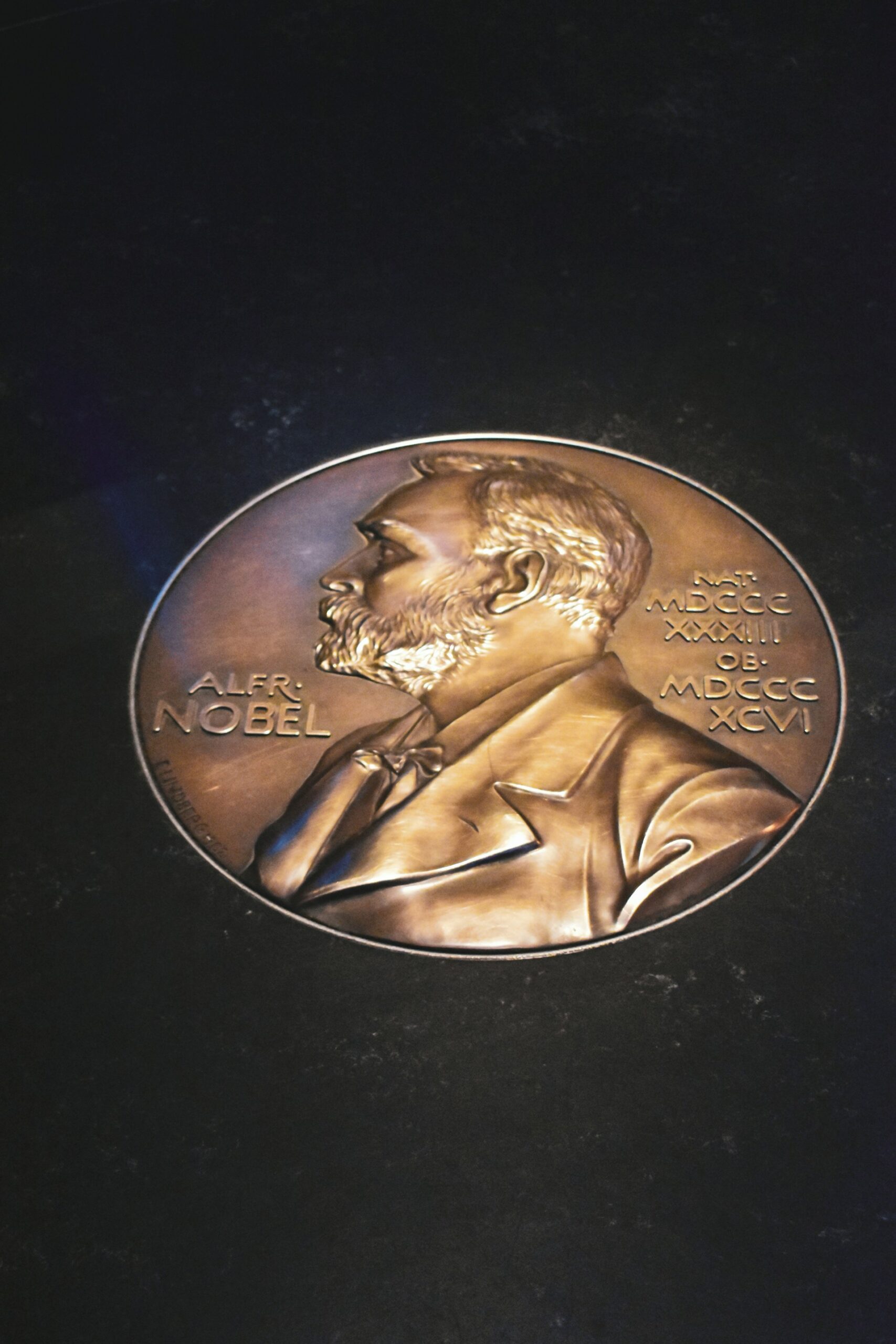 Nobelov komitet, nagrada nobel