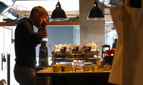 coffee cupping, kafa, Luka Jakšić