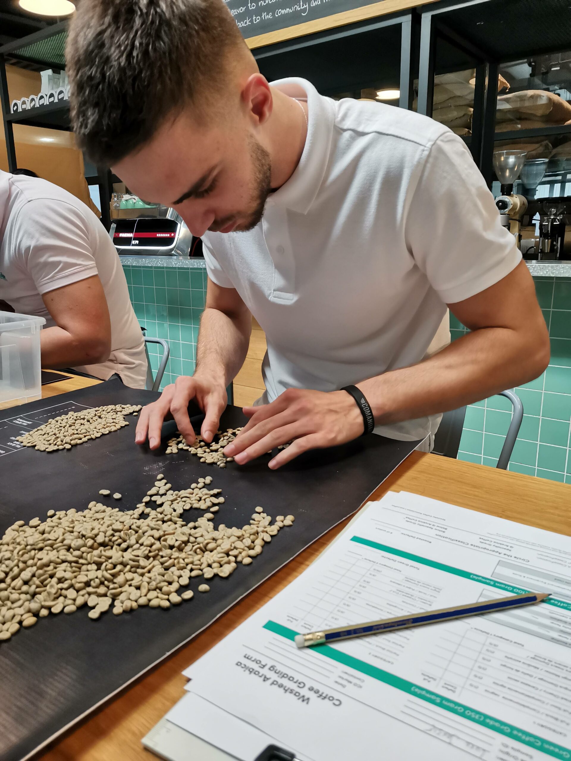 coffee cupping, kafa, Luka Jakšić