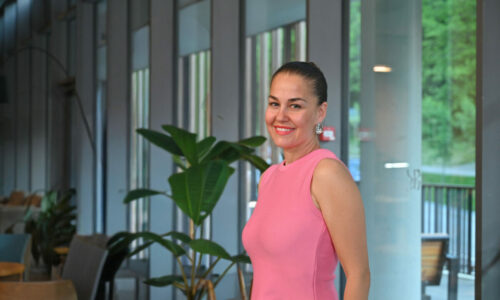 Dubravka Mijailović, Desing