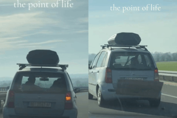 viralni video, tiktok