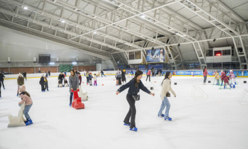 ASEE ledena čarolija