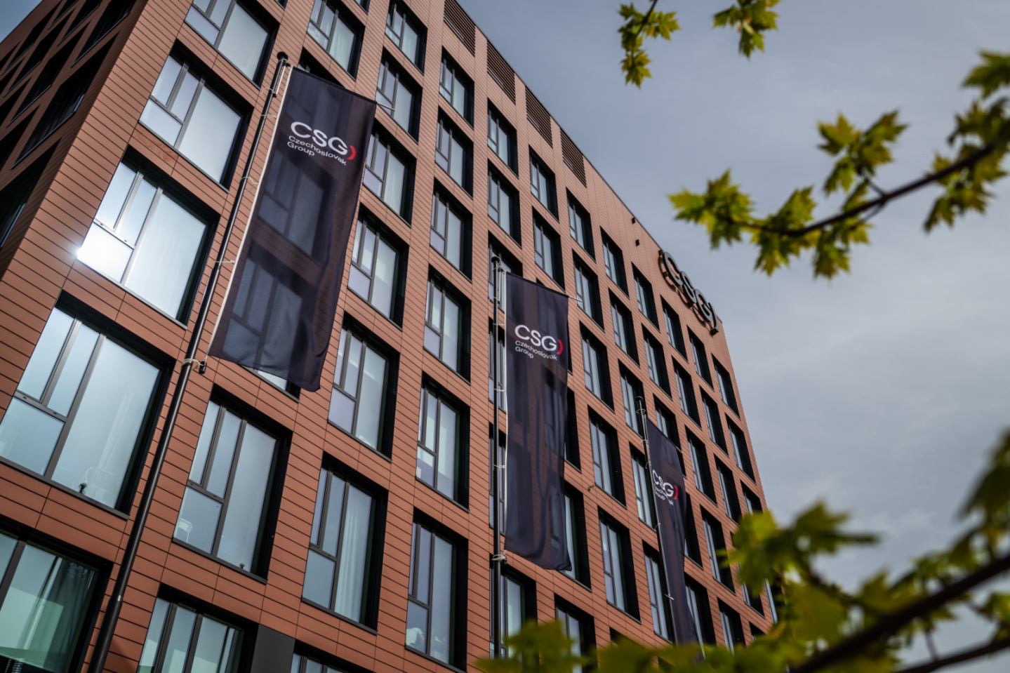 CSG grupa