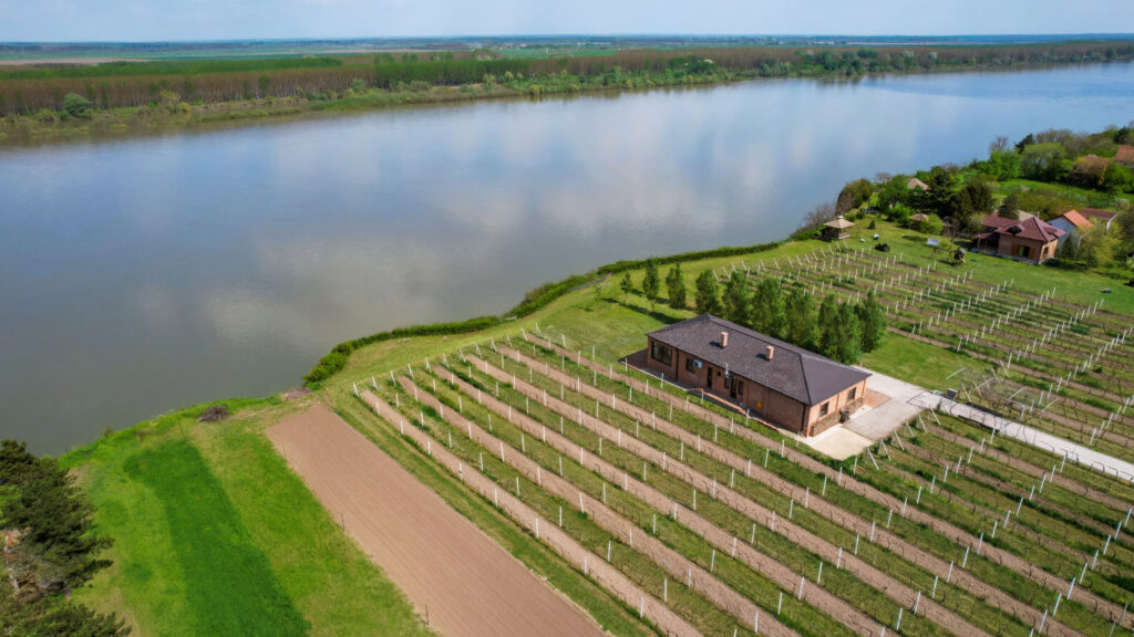 Vinarija „Milanović” spaja mineralnu zemlju, mirnu reku i strpljenje u svakoj čaši