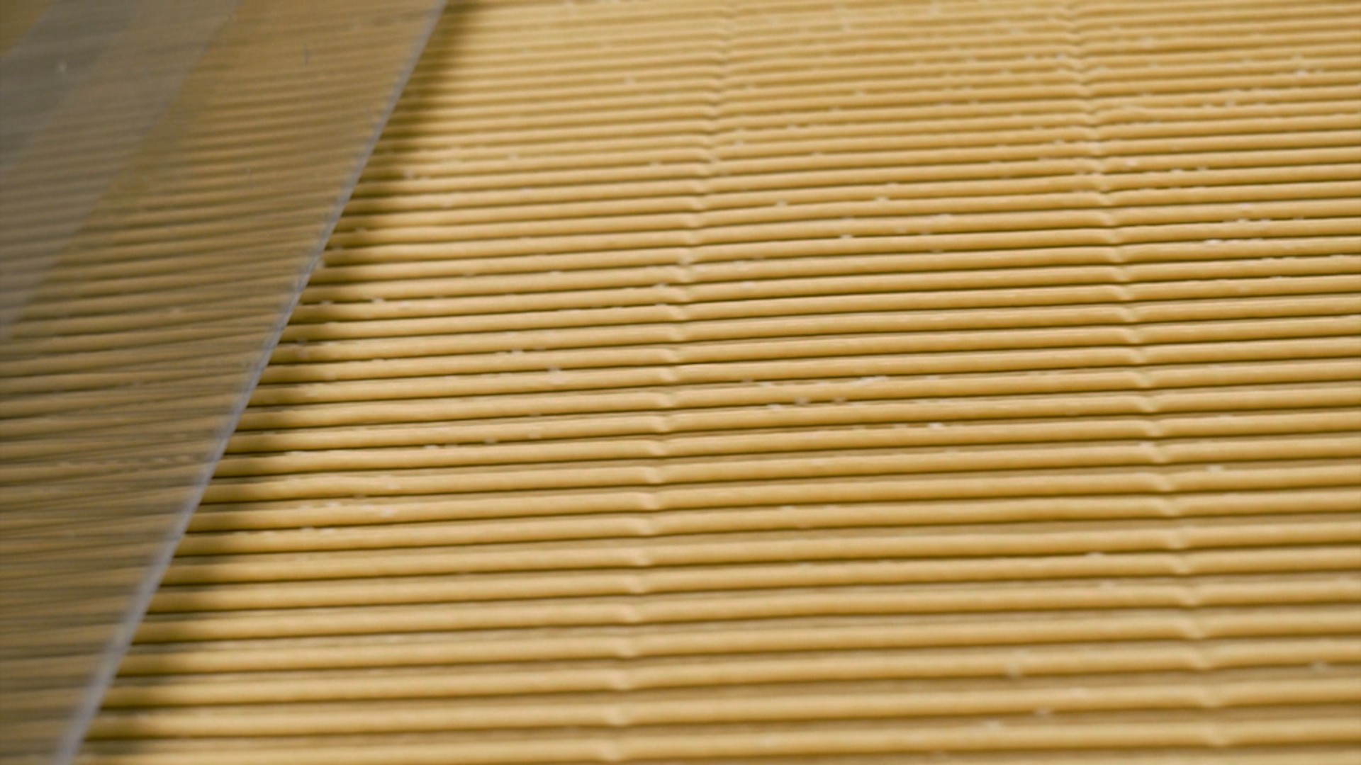 Novi štapići sa puterom od semena bundeve: Duplirani kapaciteti i modernizacija vraćaju Primu u fokus