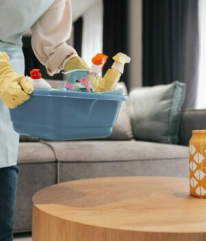 Čišćenje po kući
