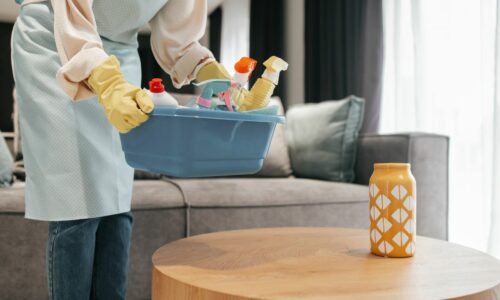 Čišćenje po kući
