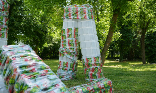 Plastično doba umetnik Petar Božović