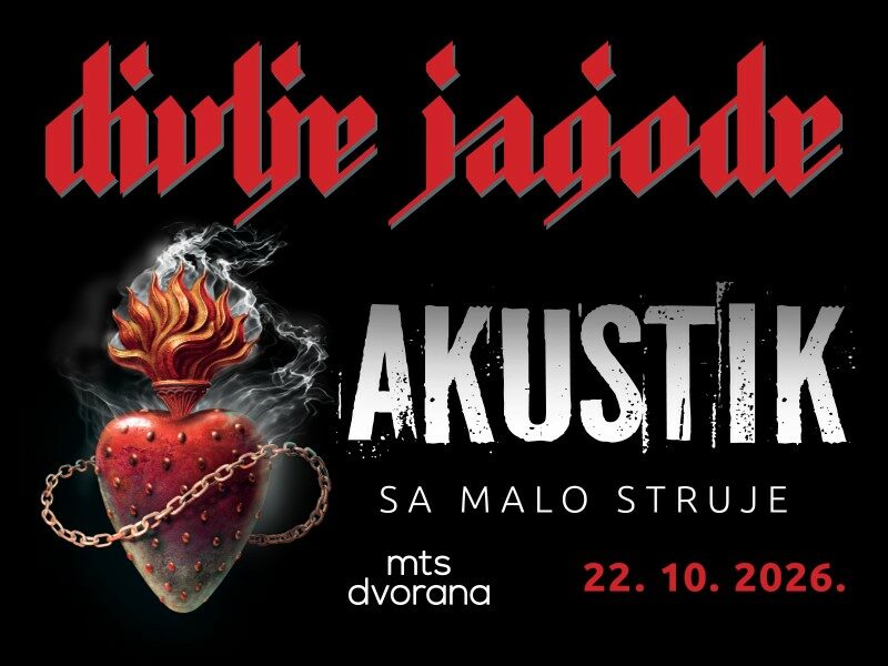 koncert
