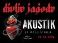 koncert