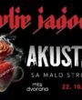 koncert