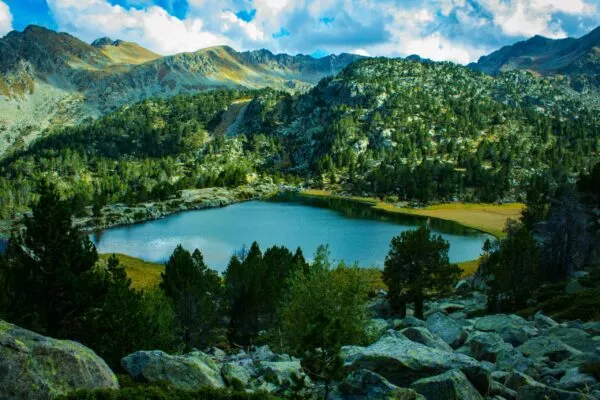 andora