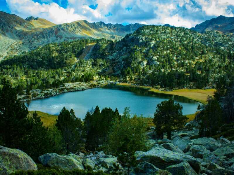 andora