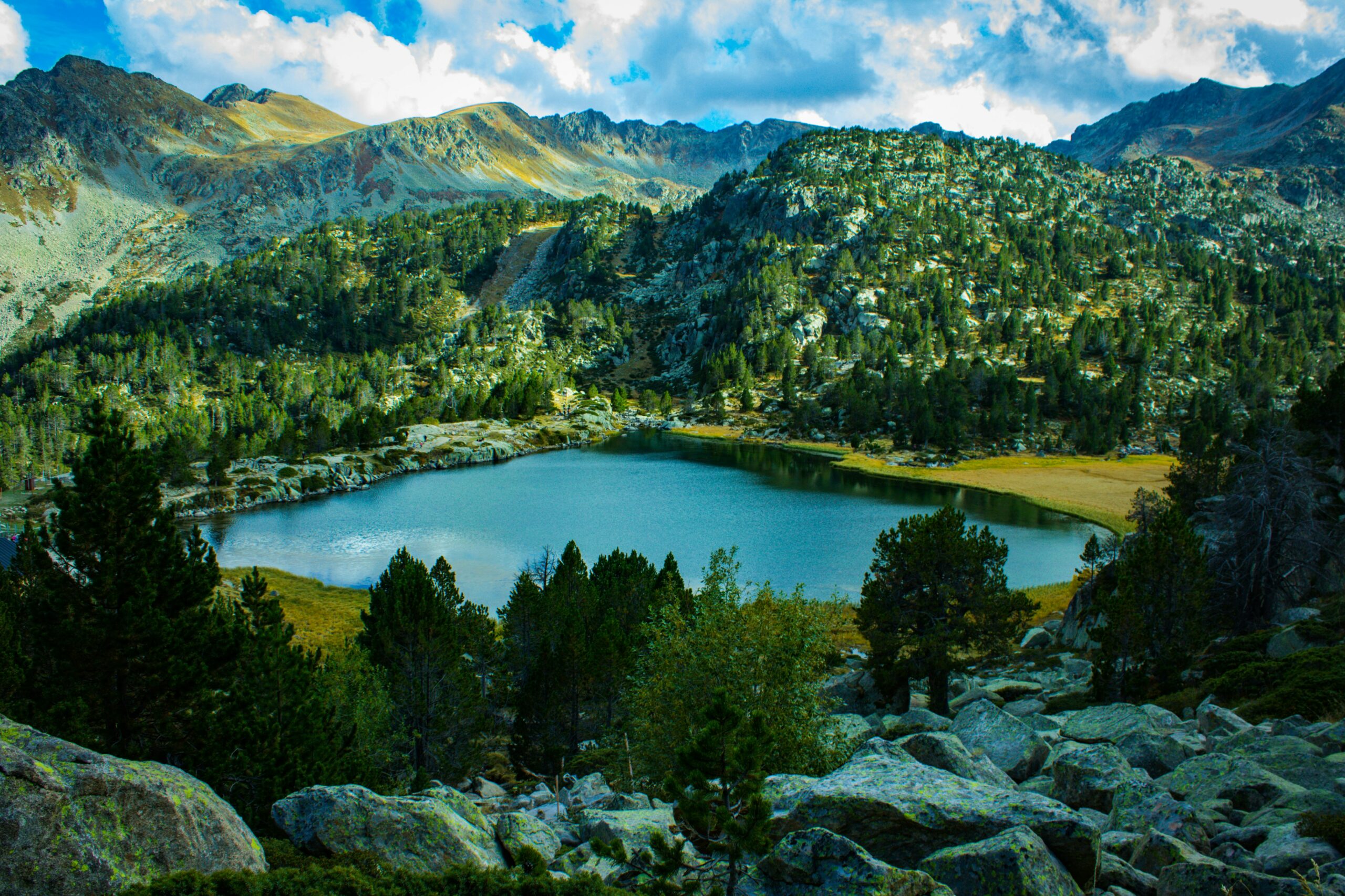 andora