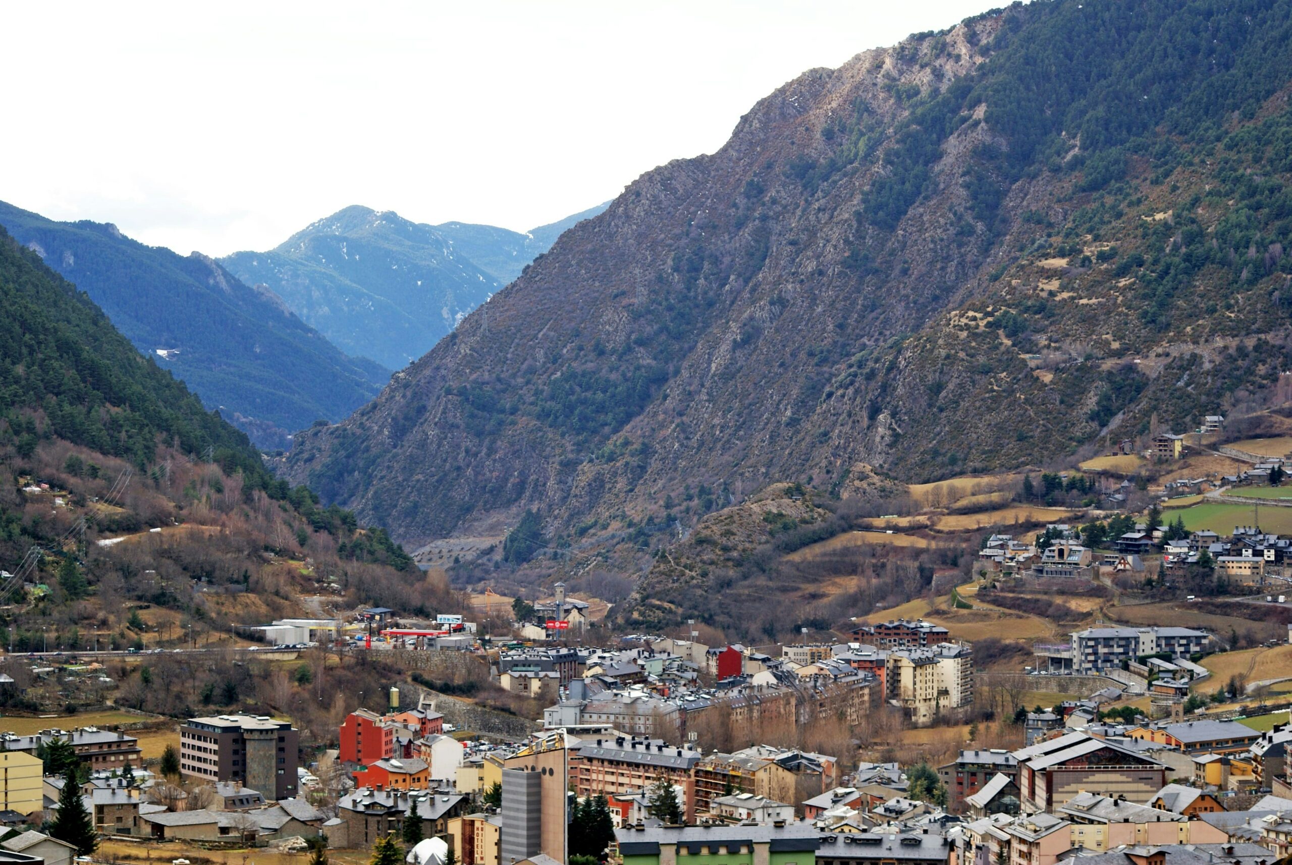 andora